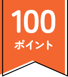 100ポイント