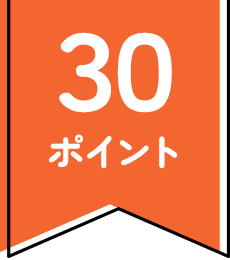 30ポイント