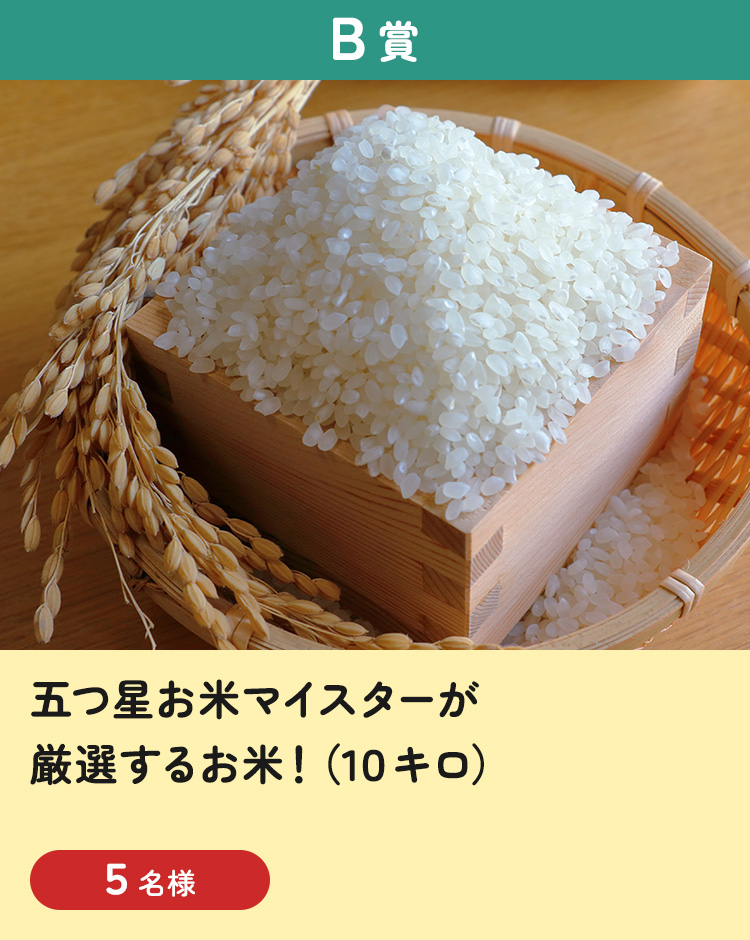 [B賞] 五つ星お米マイスターが厳選するお米！（10kg）