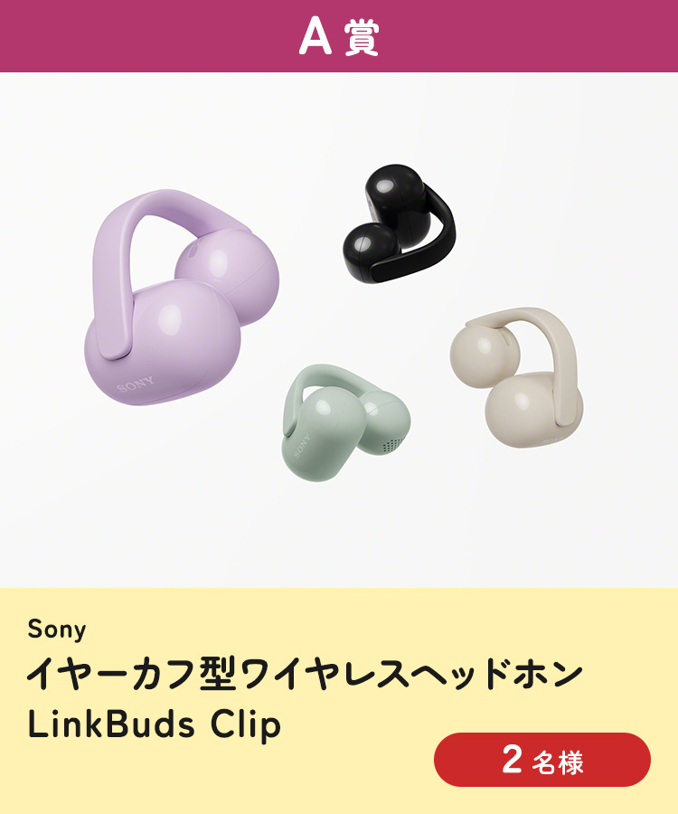[A賞] Sony ワイヤレスステレオヘッドセット『LinkBuds Clip』