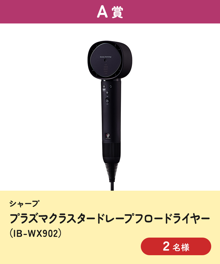[A賞] シャープ プラズマクラスタードレープフロードライヤー（IB-WX902）