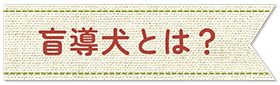 盲導犬とは？