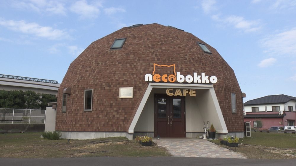 necobokko CAFE